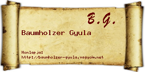 Baumholzer Gyula névjegykártya